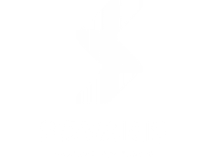 Sovaris Logo